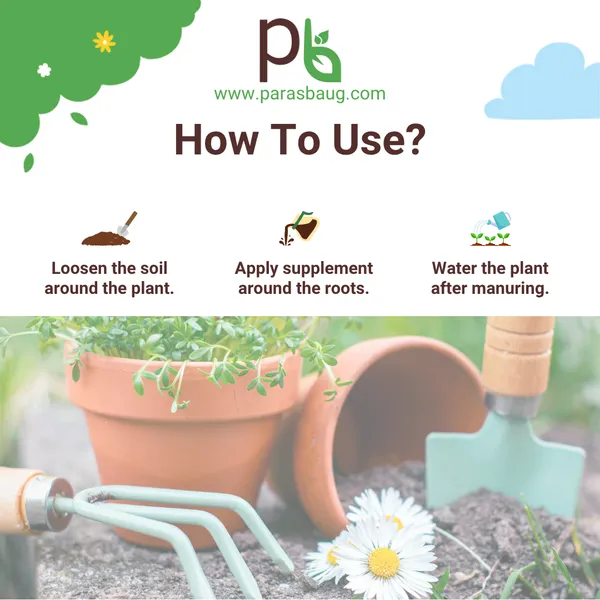 Vermicompost_Root_&_Plant_Growth