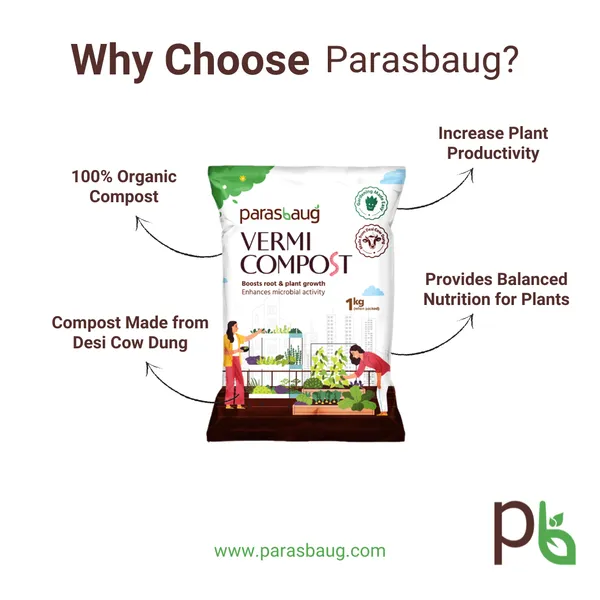 Vermicompost_Root_&_Plant_Growth