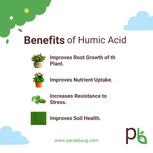 Humic_Acid_Improved_Nutrient_Uptake