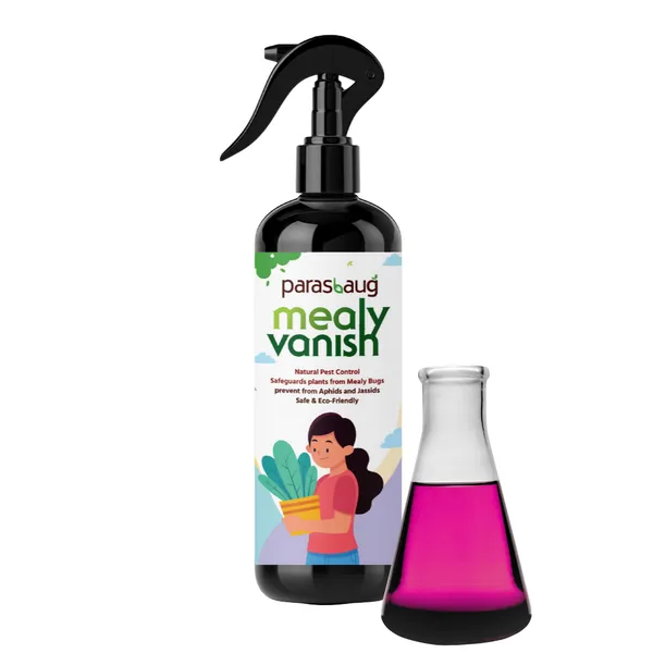 Mealy_Vanish_Natural_Pest_Control