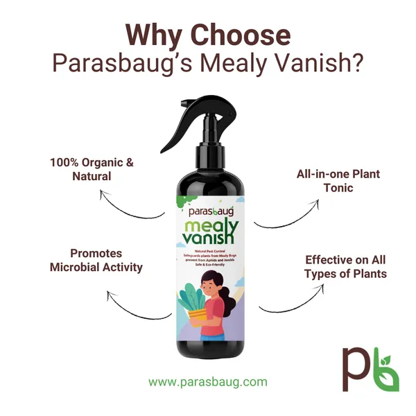 Mealy_Vanish_Natural_Pest_Control