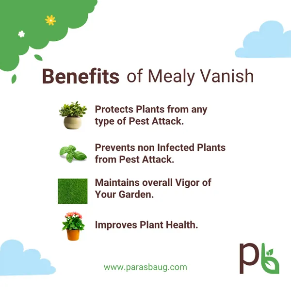 Mealy_Vanish_Natural_Pest_Control