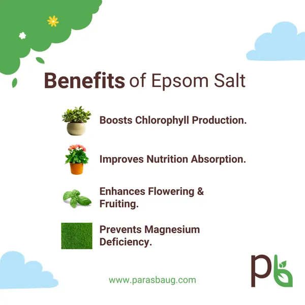 Epsom_Salt_Improves_Nutrition_Absorption