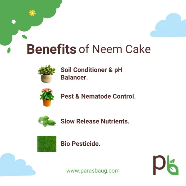 Neem_Cake_Natural_Pest_Control_&_Soil_Conditioner