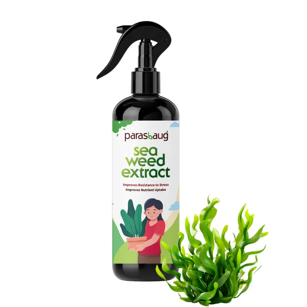 Seaweed_Extract_Holistic_Growth_Promoter