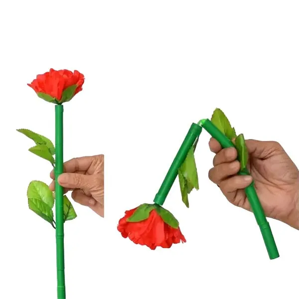 Instant_Breakaway_Rose