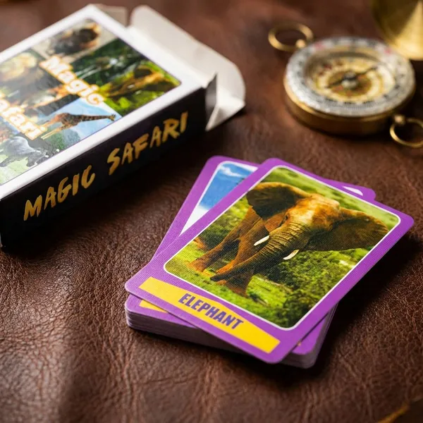 Magic_Safari