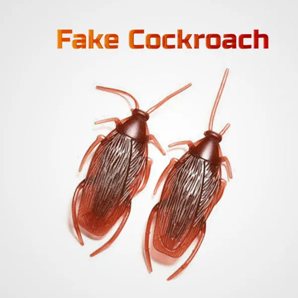 Fake_Cockroach_Set_Of_5