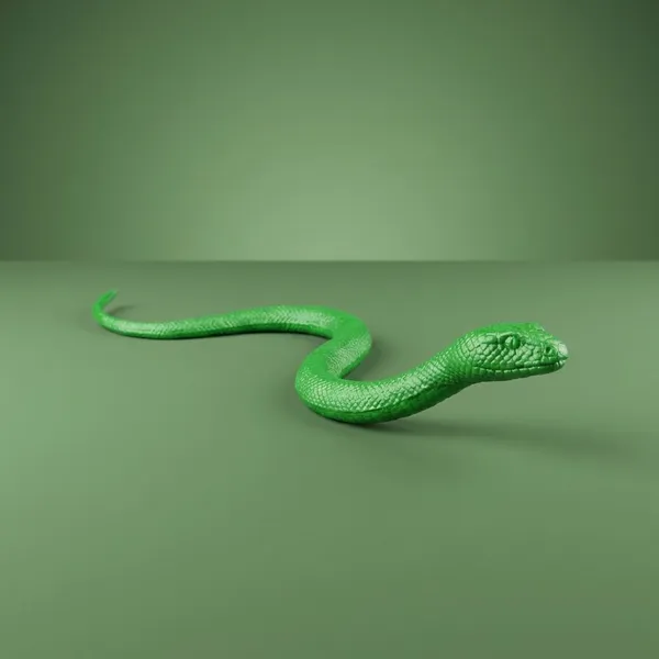 Snake_Charmer