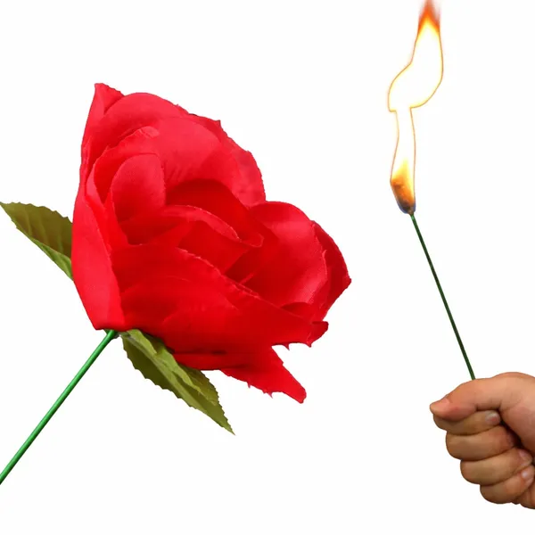 Torch_Fire_To_Rose_Flower