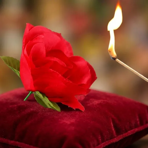 Torch_Fire_To_Rose_Flower