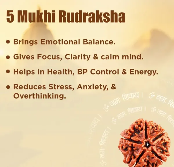 Natural_5_Mukhi_Rudraksha_(Nepali)Brown_Natural_Gemstone_Rudraksha_For_Unisex