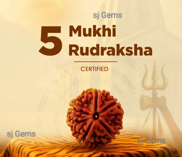 Natural_5_Mukhi_Rudraksha_(Nepali)Brown_Natural_Gemstone_Rudraksha_For_Unisex