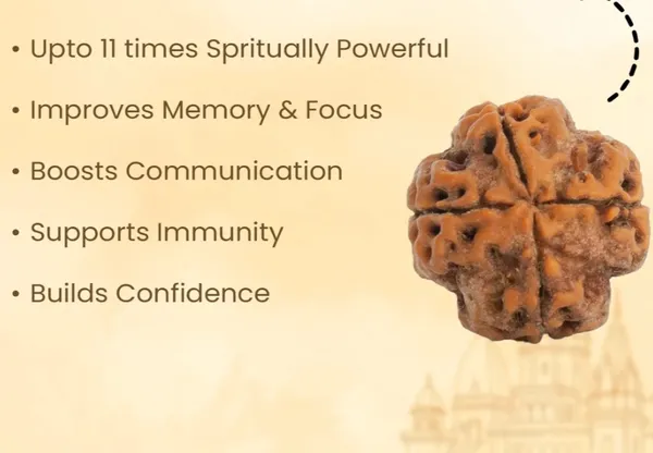 Natural_4_Mukhi_Rudraksha_of_Nepal_(Himalayan)_origin_with_Certificate_of_Authenticity,_Activated_&_Energised_to_wear