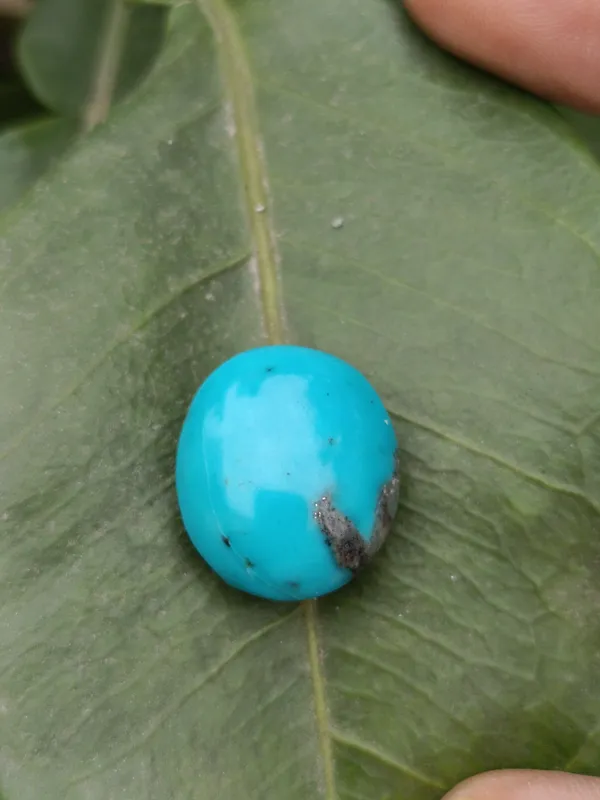 Original_Natural_Turquoise_weighing_25.85_Carat_(28.62_Ratti)_From_Iran_(Nishapuri)_(free__lab_certified)