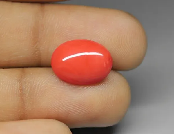 Original_Natural_Red_Coral_weighing_5.10Carat_(6.67_ratti)_From_Italy_(lab_certified)_for_astrological