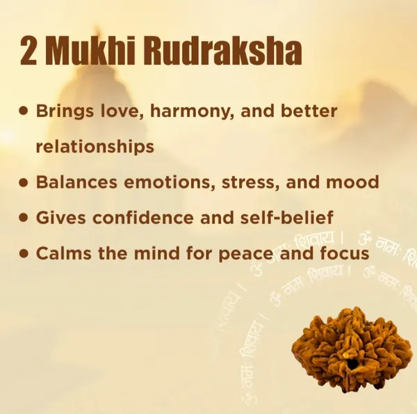 Nepali_2_Mukhi_Rudraksha_(Two_Faced)Lab_certified|