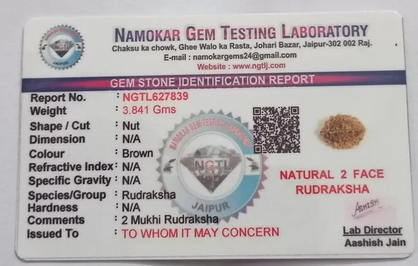 Nepali_2_Mukhi_Rudraksha_(Two_Faced)Lab_certified|