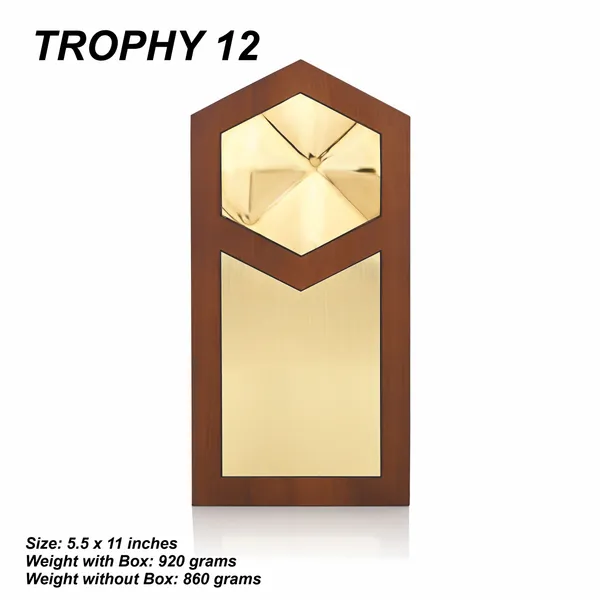 Brown_And_Gold_Premium_Recognition_Award_With_Hexagonal_Plate_And_Wooden_Base