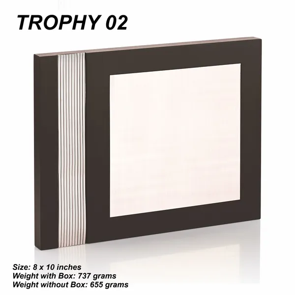 Multicolor_Premium_Award_Display_Frame_With_Striped_Accent