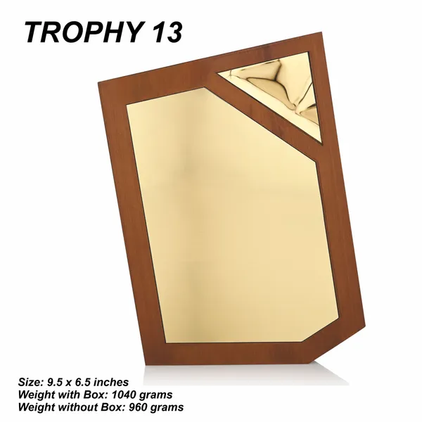 Brown_And_Gold_Wooden_Frame_En_Plaque_Award_Trophy