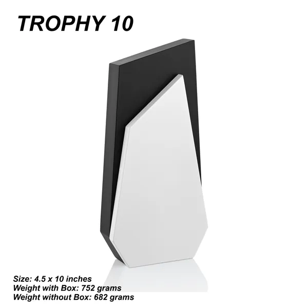 White_Modern_Geometric_Award_Trophy_Trophy_10