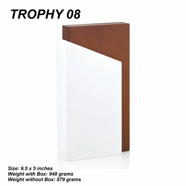 White_And_Brown_Modern_Two_Tone_Geometric_Trophy_Award