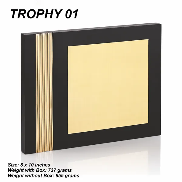 Black_And_Gold_Premium_Trophy_Plaque_Award_For_Recognition_And_Achievement