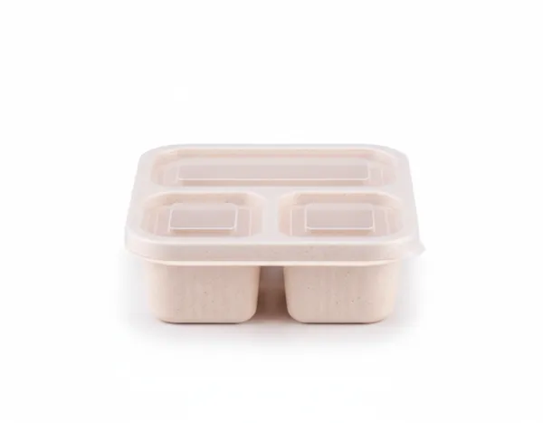 Meter_Plastic_Lunch_Box_Premium_Candy_Compartmented_Non-Odor_Lunch_Box_Four-Compartment_For_Everyone,_Kids_,_Man_And_Women