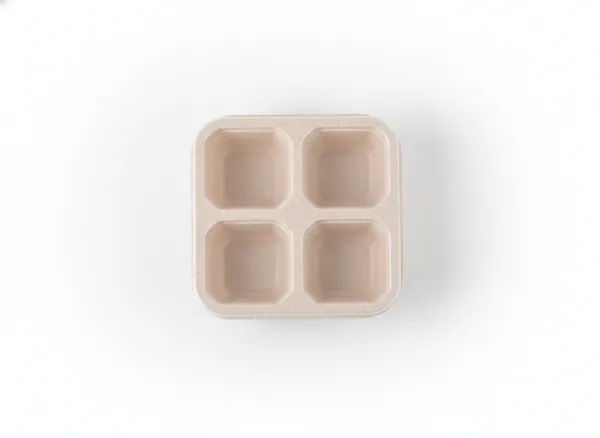 Beige_Plastic_Lunch_Box_Premium_Candy_Compartmented_Non-Odor_Lunch_Box_Four-Compartment_For_Everyone,_Kids_,_Man_And_Women