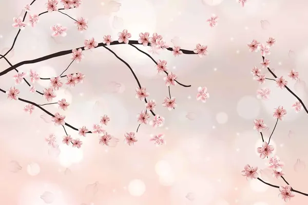 Sakura_Natural_Flower_Abstract_Wallpaper