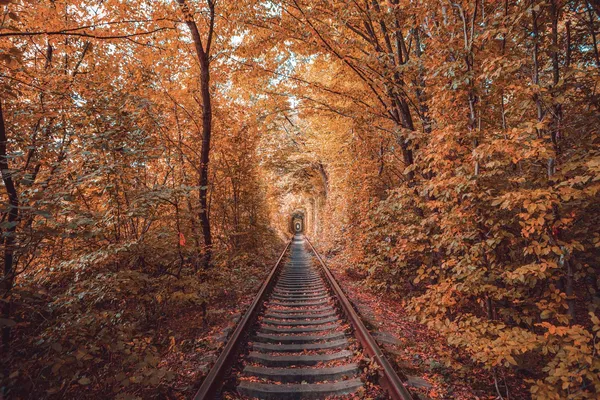 Enchanted_Autumn_Pathway_Wallpaper