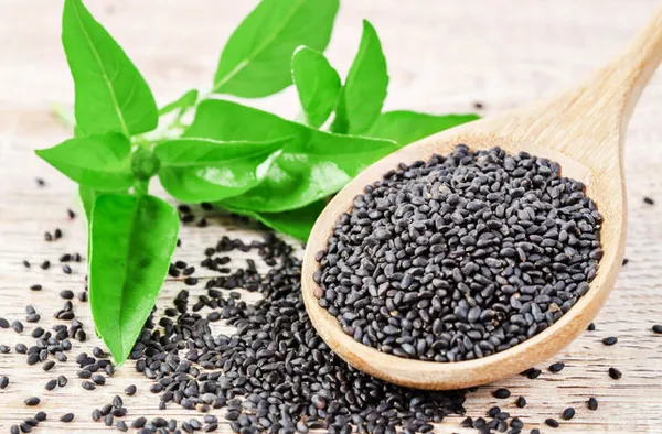 Sabja_Seeds|Basil_Seeds|Tukmaria_Seeds|Falooda_Seeds_1St_Quality_Seed_(500_Per_Packet)