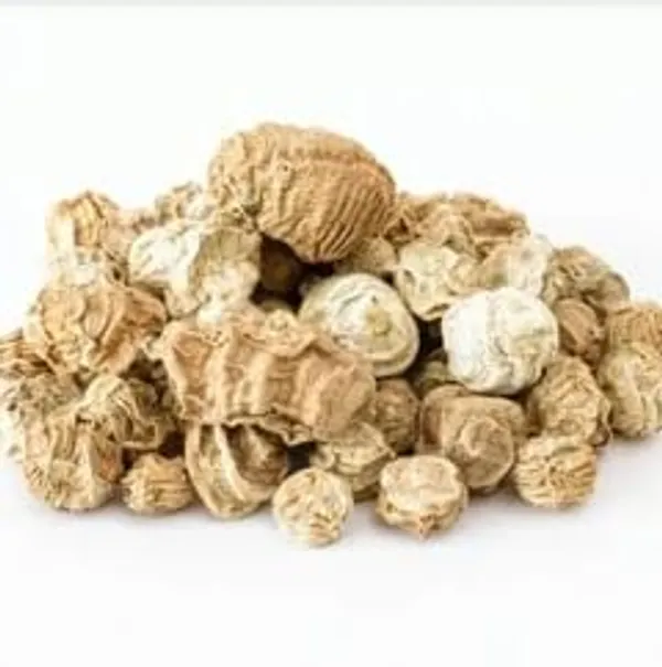Dry_Kachri_Rajasthani_Dry_Kachri_Kachri_Sabut_Dry_Kachri_Whole_Rajasthani
