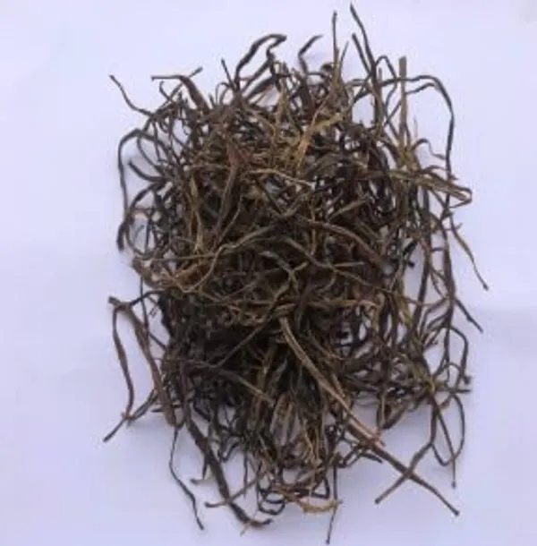 Organic_Sangri/Prosopis_Cineraria_(Rajasthani/Marwari_Origin)_Panchkutta_Ingredient