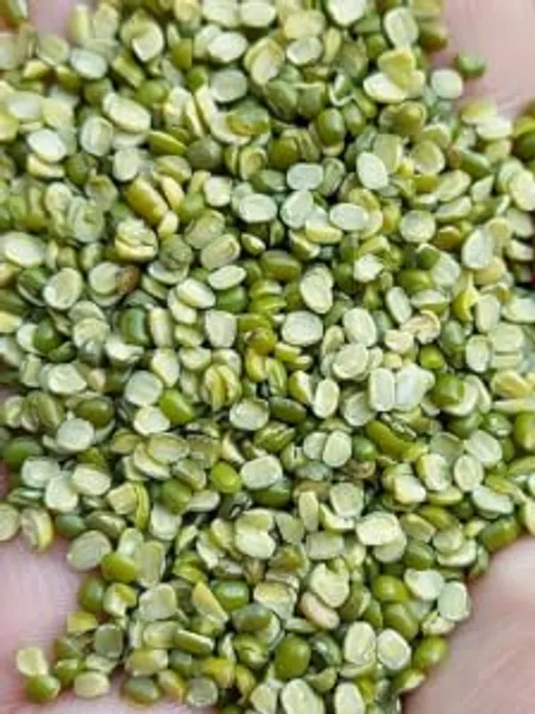 Green_Moong_Dal_-_Split_Chilka,_Green_Moong_Chilka_Dal