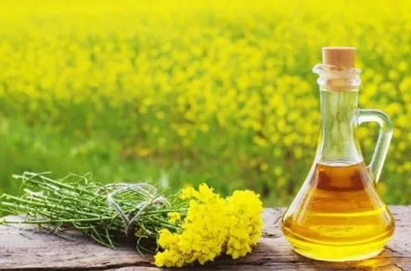 Pure_&_Cold_Pressed_Mustard_Oil,_Naturally_Cholesterol_Free,_Rich_Aroma_&_Flavour_Of_Real_Mustard_Seeds
