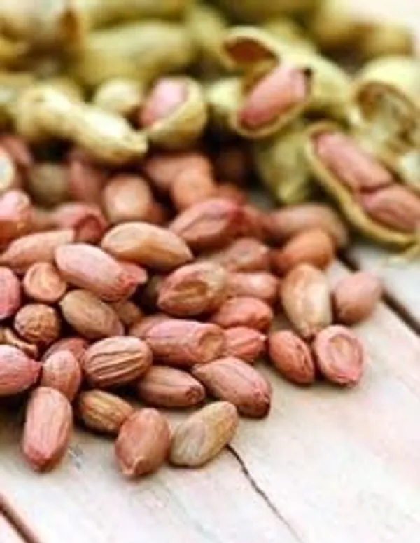 Organic_Raw_Unpolished_Peanuts/Groundnuts,_Kachi_Mungfali
