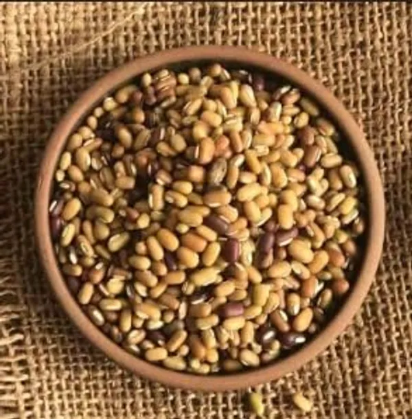 Rajasthan_Sprouting_Beans_Red_Lentils,_Moth_(Sprouts)