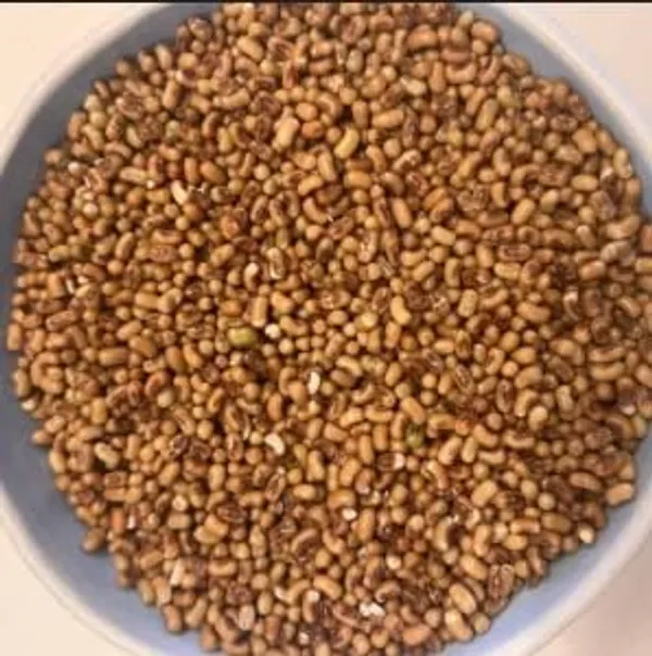 Rajasthan_Sprouting_Beans_Red_Lentils,_Moth_(Sprouts)