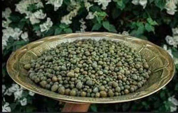 Kerya/Ker_Dry_(Rajasthani_Sun_Dried_Capparis_Decidua/Capers/Kair/Keir)