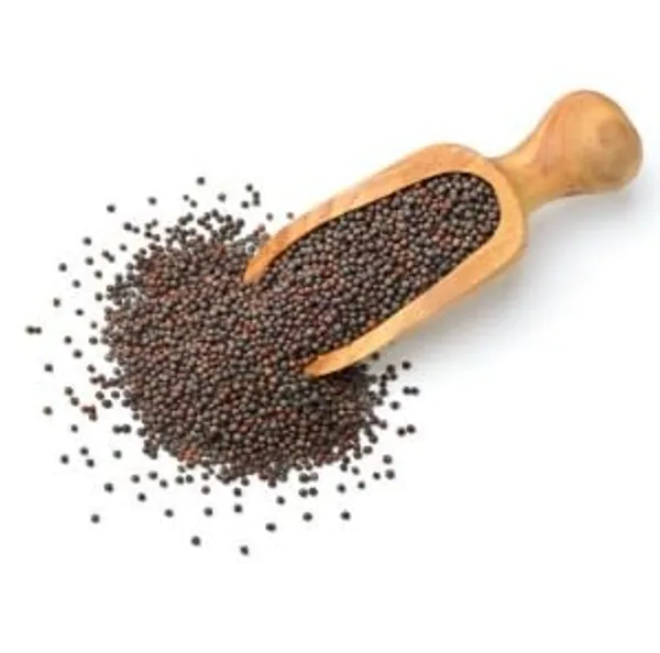 Natural_100%_Organic_Mustard_Seeds,_Sarso_Rai