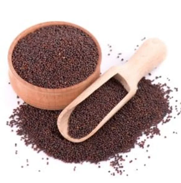Natural_100%_Organic_Mustard_Seeds,_Sarso_Rai