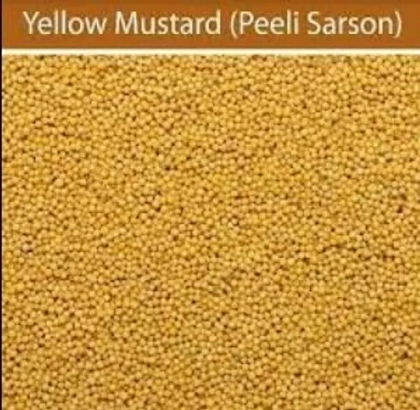 Natural_100%_Organic_Mustard_Seeds,_Sarso_Yellow_Rai
