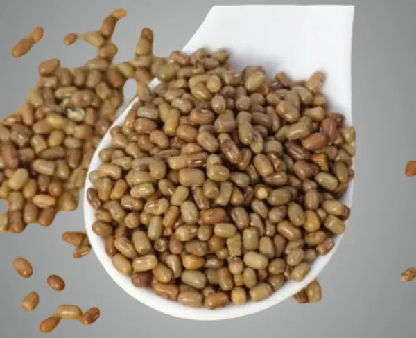 Rajasthan_Sprouting_Beans_Red_Lentils,_Moth_(Sprouts)