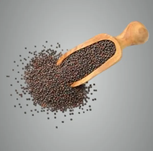 Natural_100%_Organic_Mustard_Seeds,_Sarso_Rai