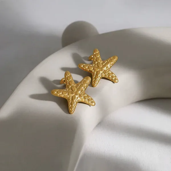 Pack_of_2_Gold_Stainless_Steel_Premium_Earrings_For_Women