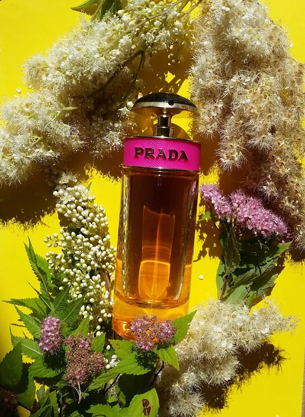Perfume_Prada_Candy_80_Ml_Eau_De_Parfum