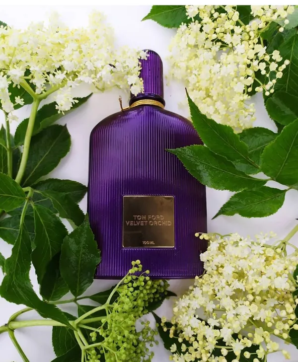 Perfume_Tom_Ford_Velvet_Orchid_100_Ml_Eau_De_Parfum