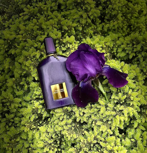Perfume_Tom_Ford_Velvet_Orchid_100_Ml_Eau_De_Parfum